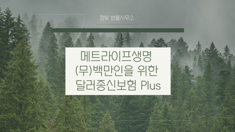 메트라이프생명 무배당 백만인을위한달러종신보험plus 전액환불 받은 사례