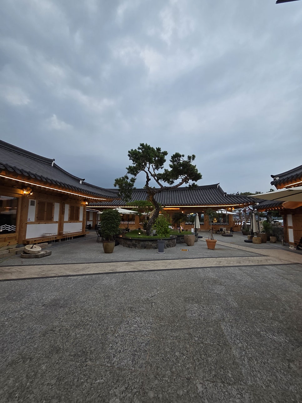 Gokseonkeopi photo 3