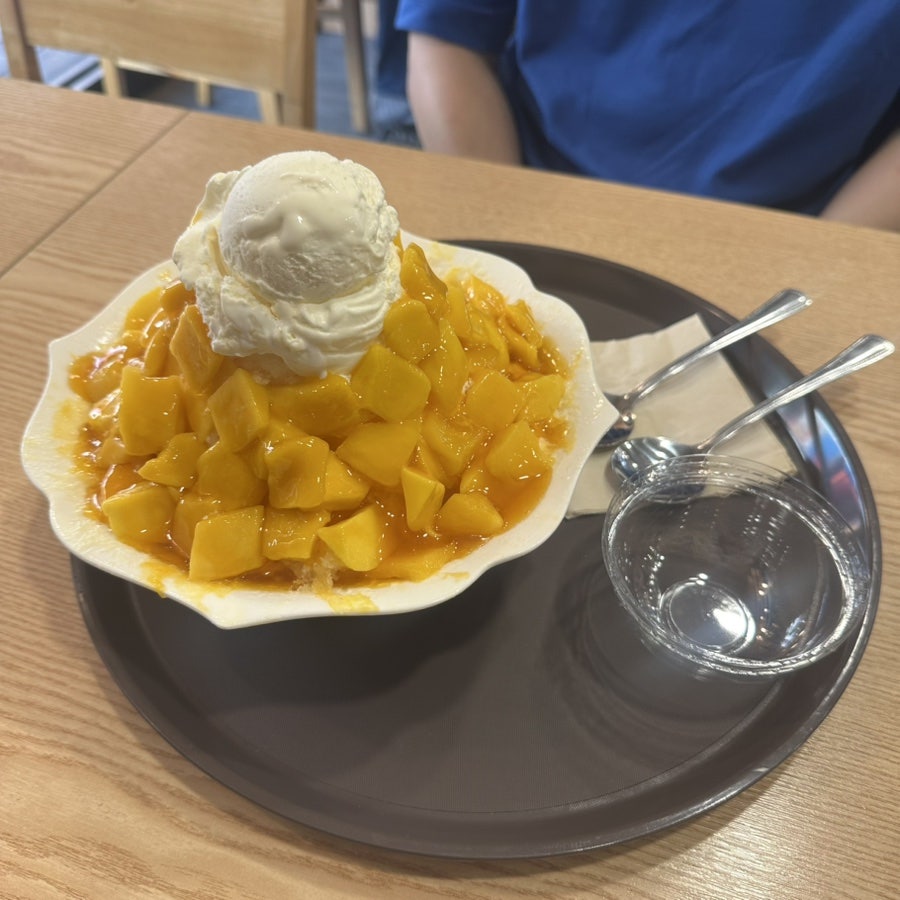 봄날 사진 5