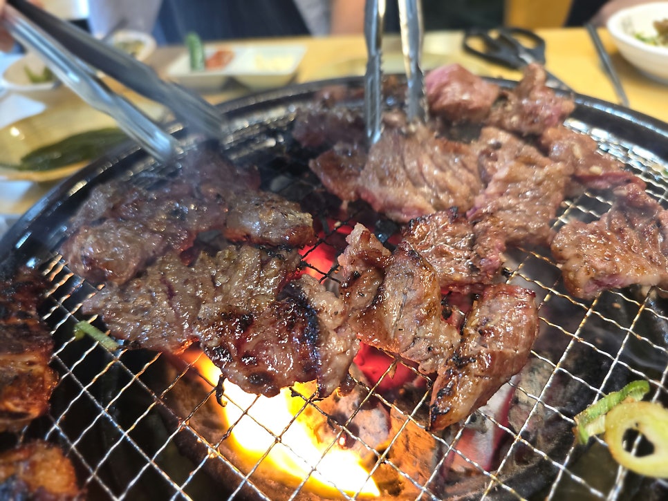 갈비둥지 사진 2