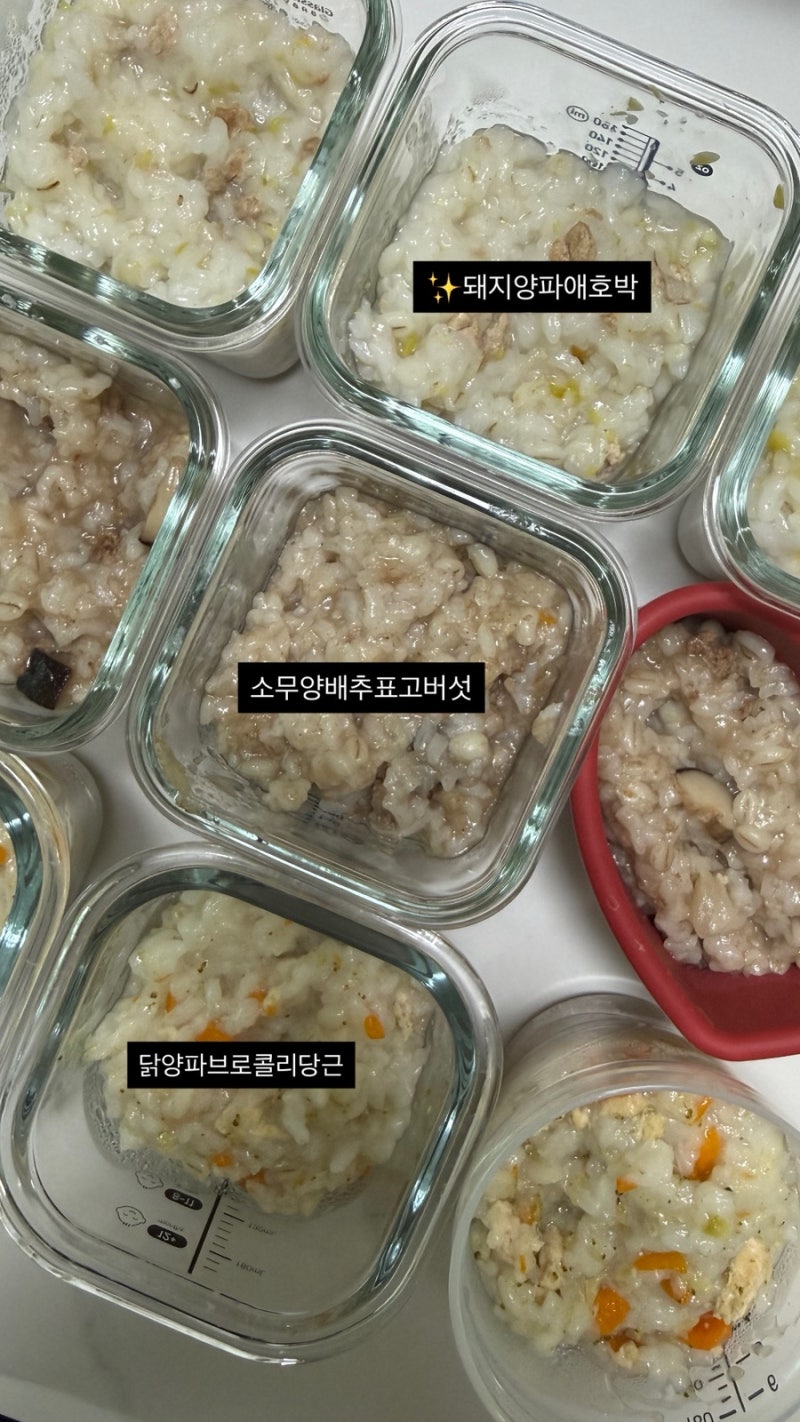 퍼기 밥솥 칸막이 후기 이유식 만드는 방법
