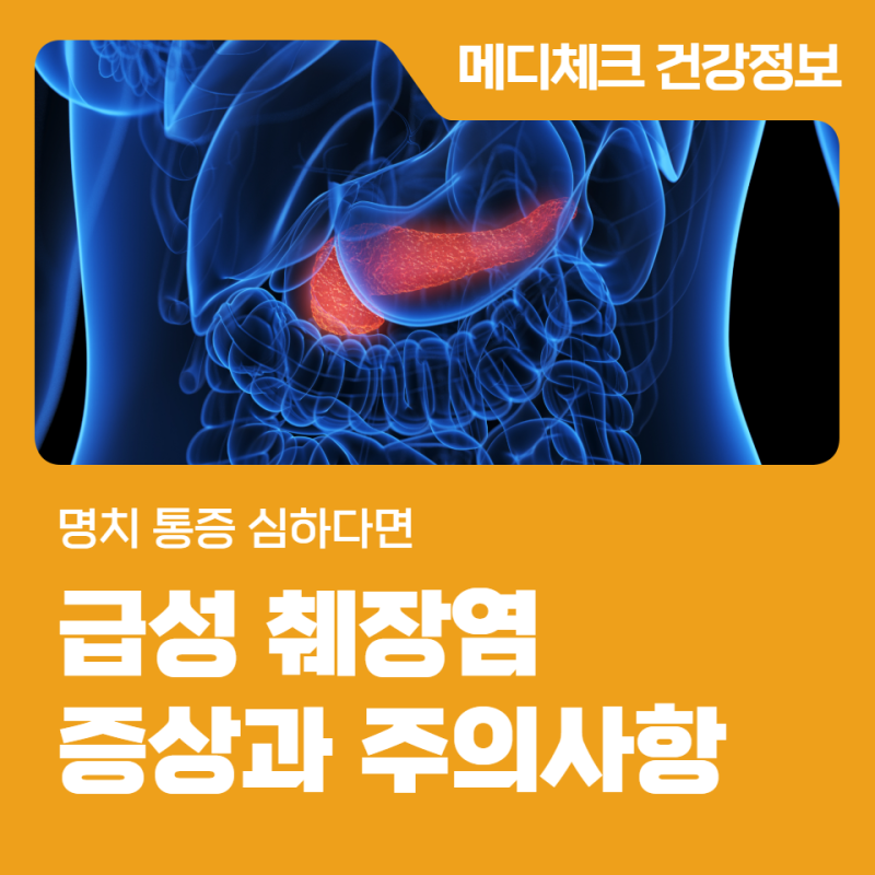 급성 췌장염 증상과 주의사항 명치 통증 심하다면