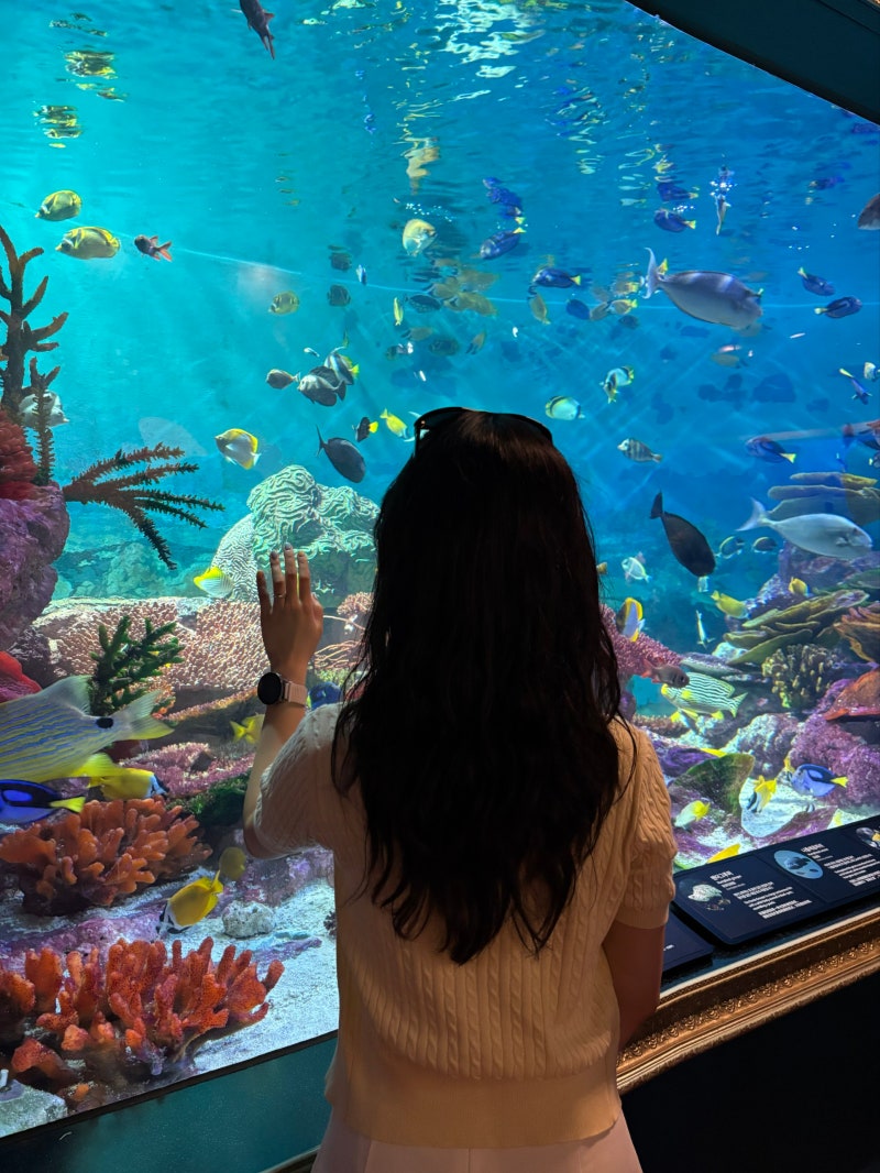 강남 실내데이트 씨라이프 코엑스 아쿠아리움 할인 인어쇼 총정리