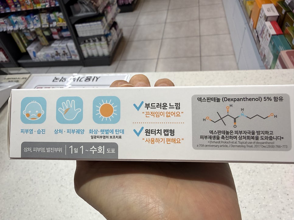 민들레 사진 3