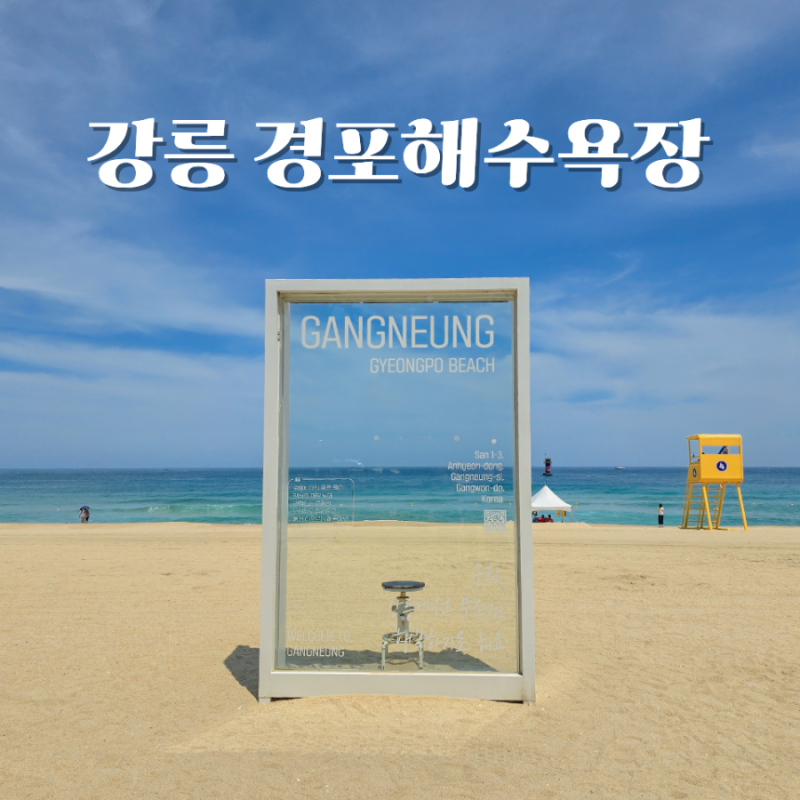 강릉 경포해변 해수욕장 주차장 파라솔 샤워장 총 정리(2026)