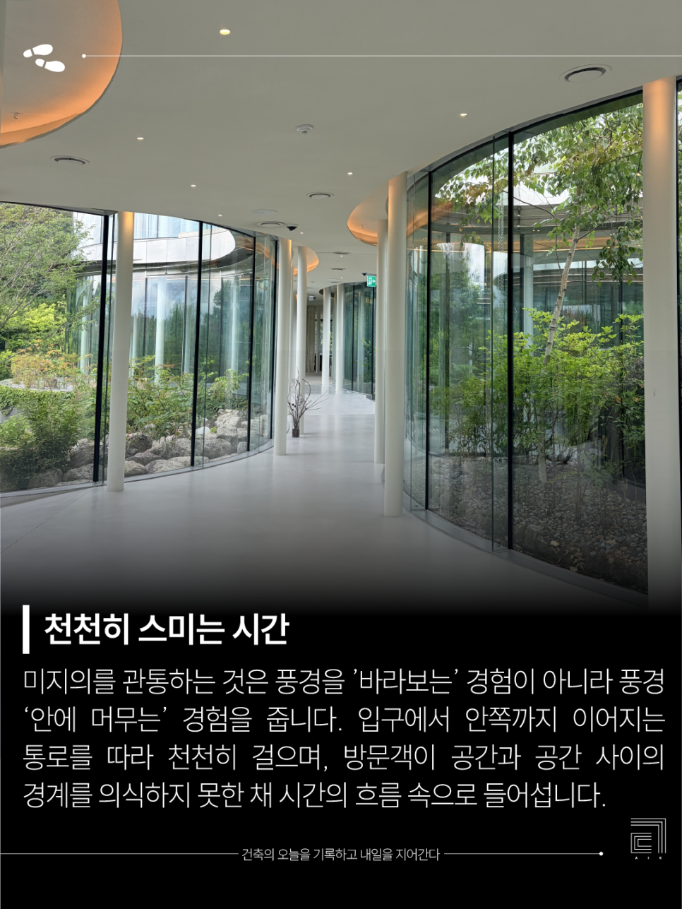 미지의 사진 5