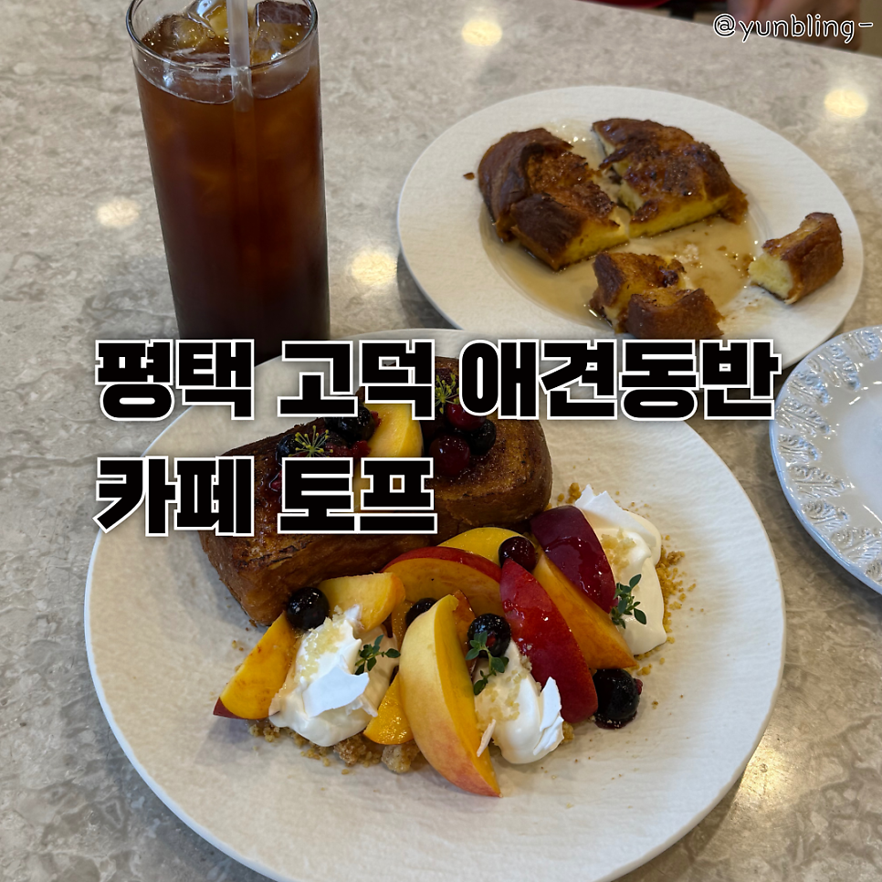 토프 고덕 사진 1