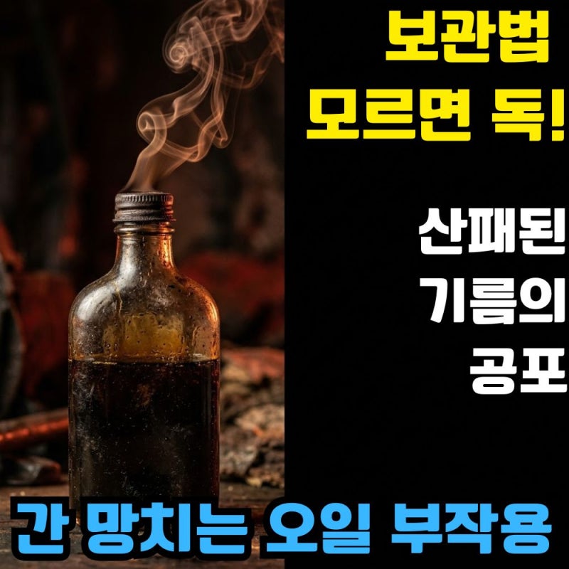 들기름 보관법 모르면 1급 발암물질! 간 망치는 '올리브유 부작용'과 산패의 공포