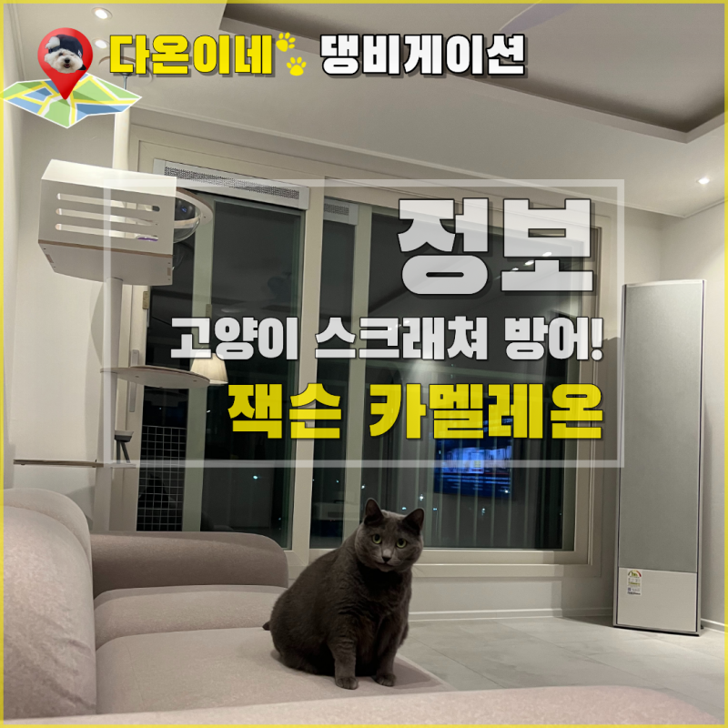 고양이 스크래쳐 막는 고양이 소파 추천 - 잭슨 카멜레온