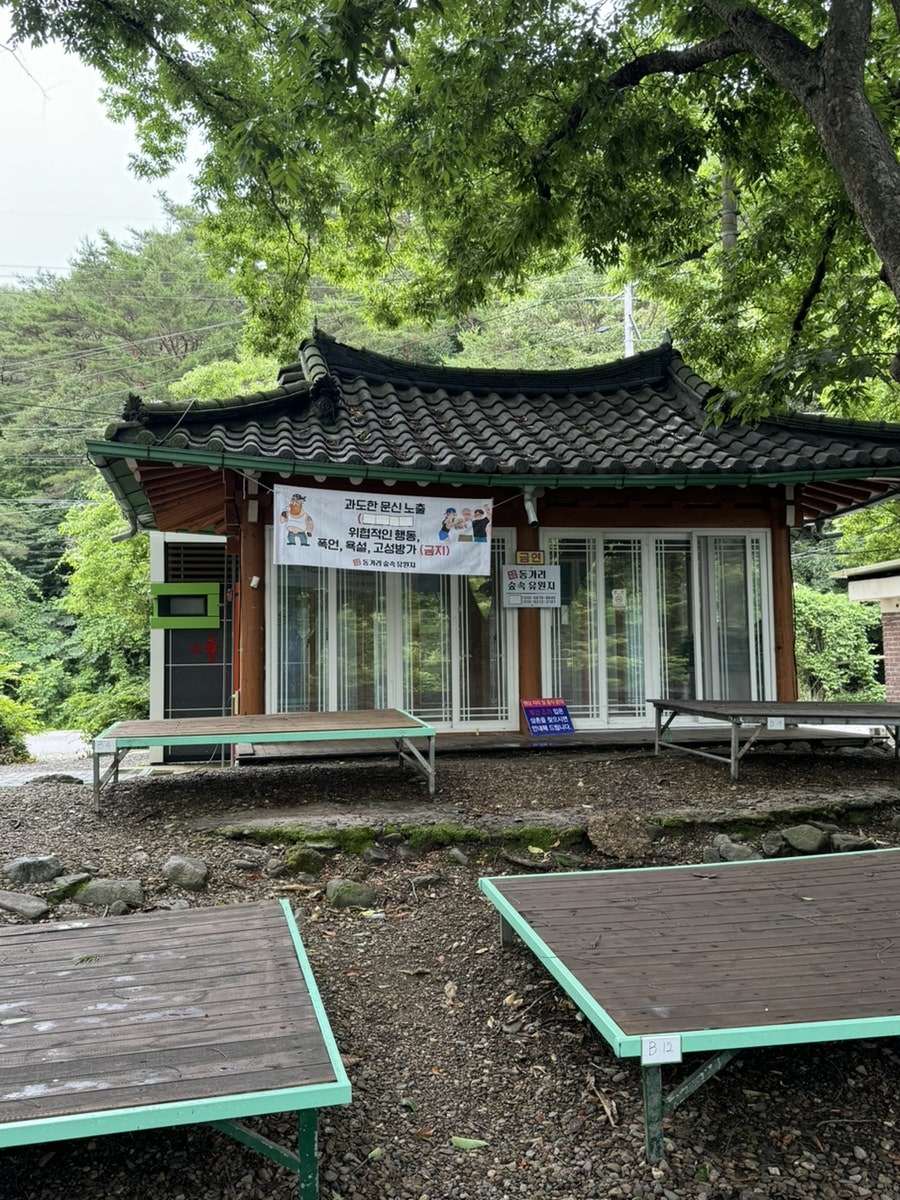 숲속유원지 사진 4