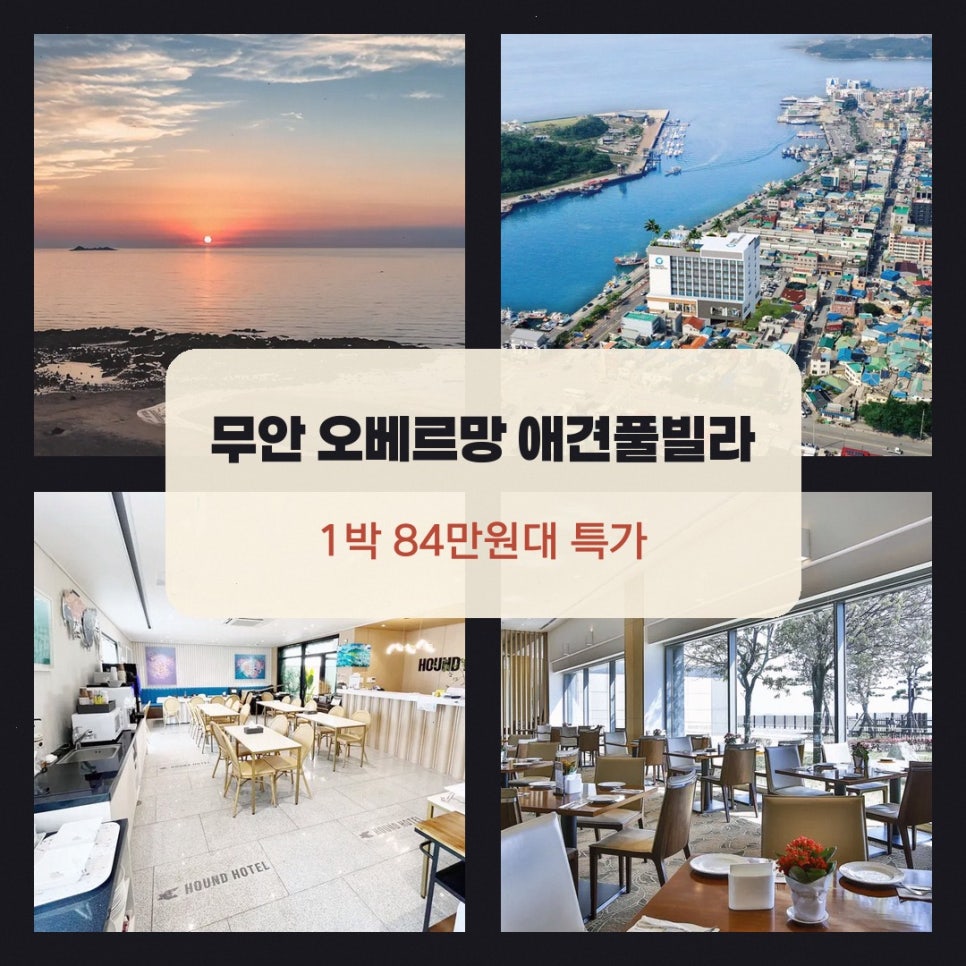 오베르망애견풀빌라 사진 1