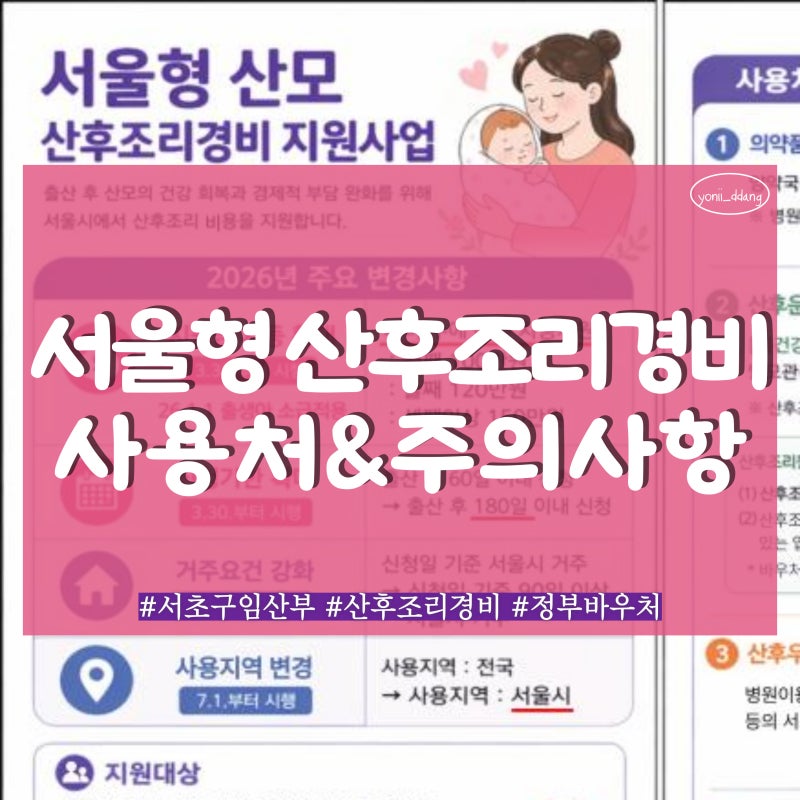 끝나지 않은 출산 후 산후조리 정부 지원금! 서울형 산모 산후조리경비 지원금 신청 조건 & ....