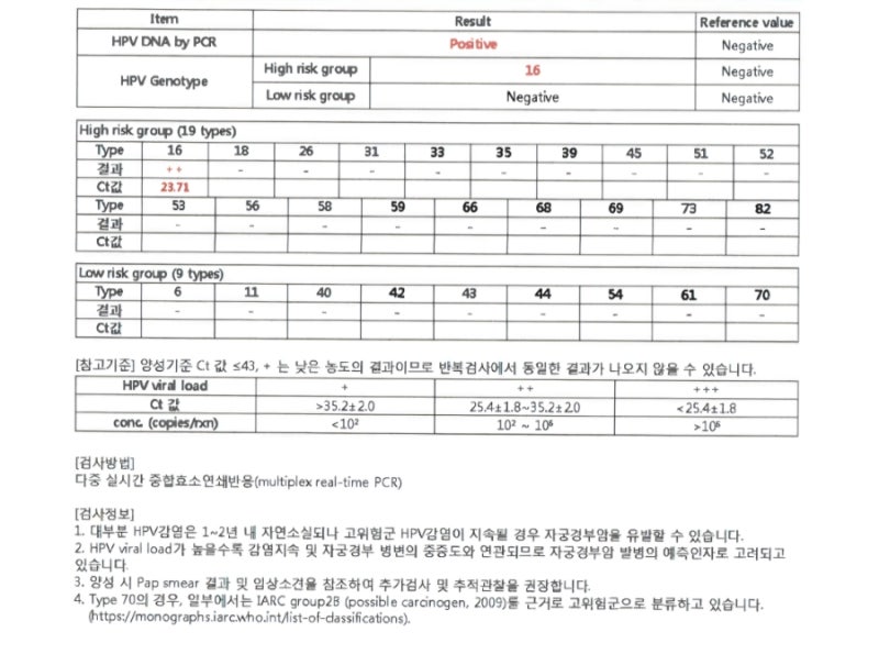 [자궁경부 전암단계 cin3극복기] 1. 검진결과를 통보받다.