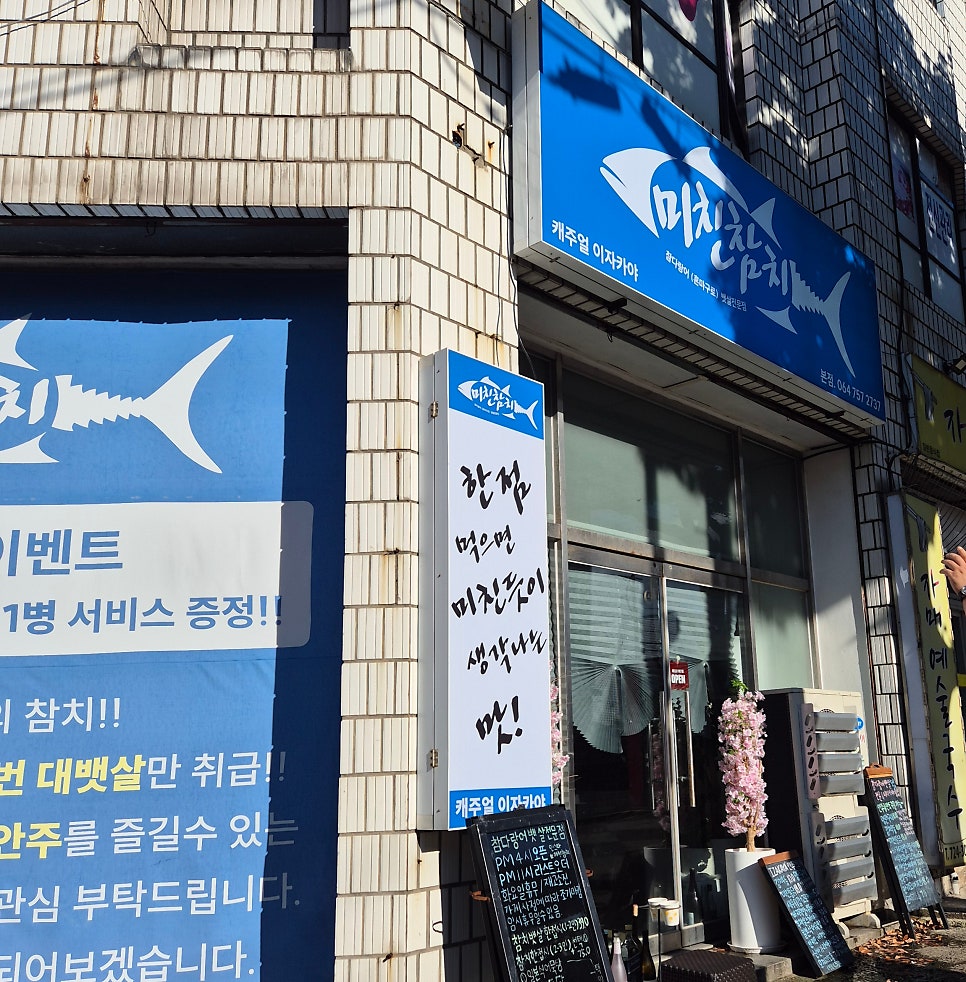 미친참치 사진 1