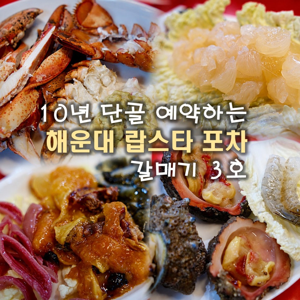 갈매기 3호 랍스타포차 사진 1