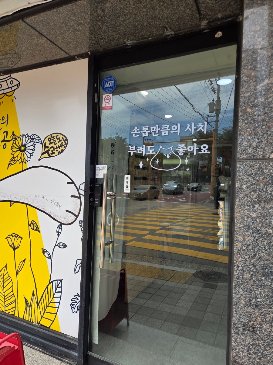 토닥당 사진 6
