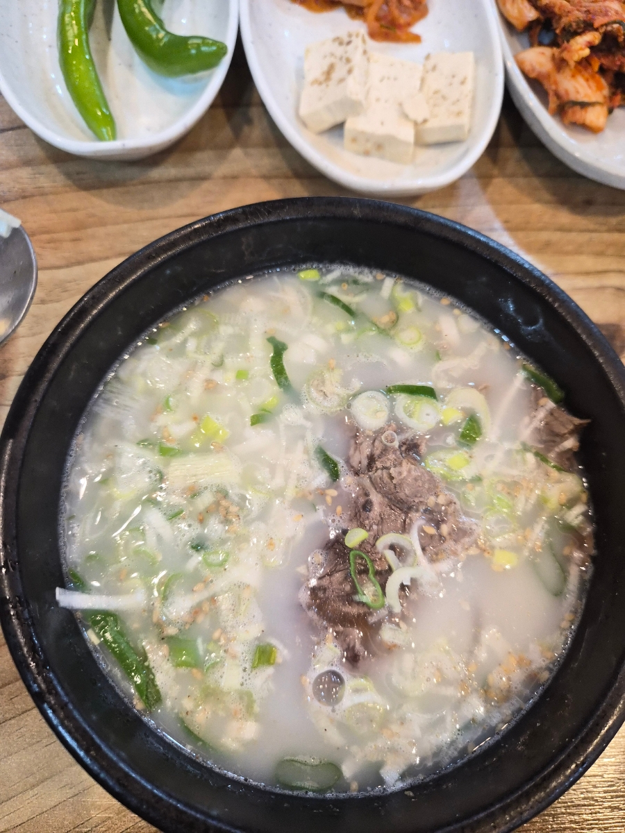빛고을 사진 5