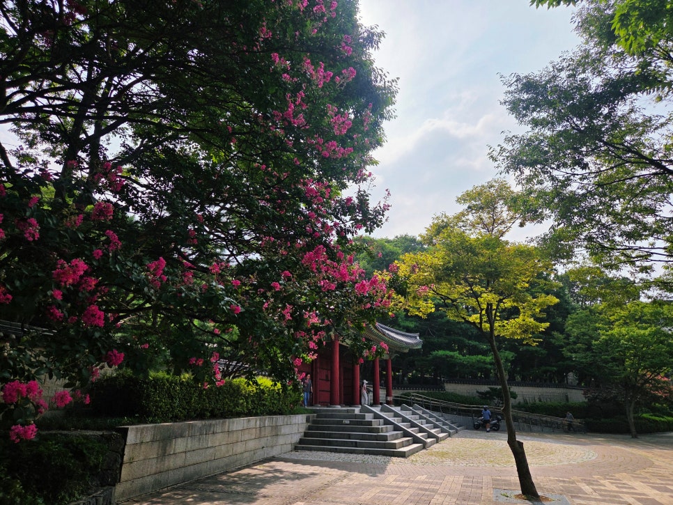 파자마델리 효창공원점 사진 3