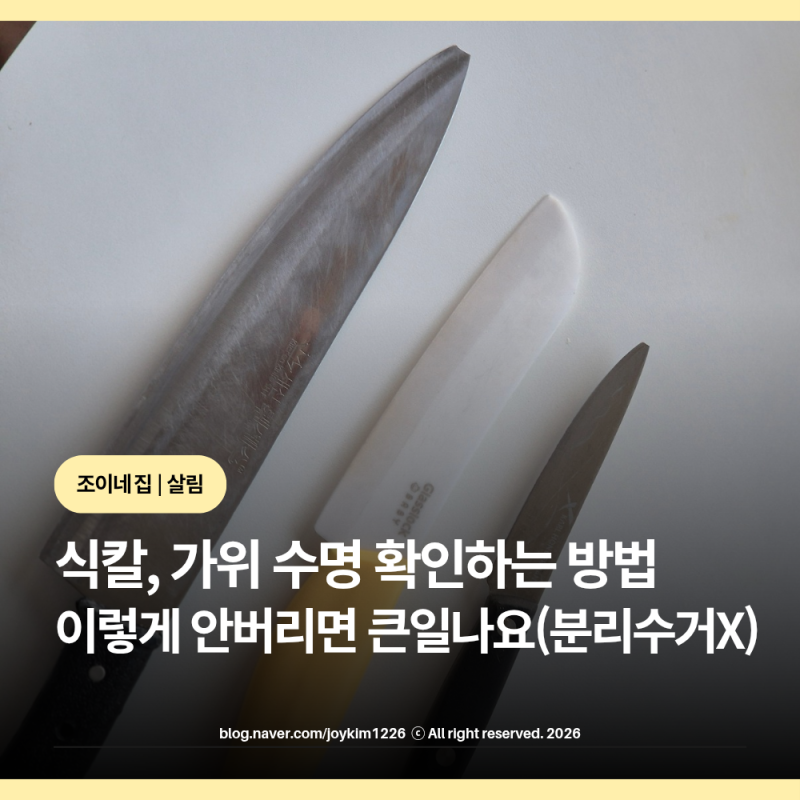 매일 쓰는 식칼·가위 수명 다했다는 3가지 신호! 분리수거 쓰레기 배출법 정리