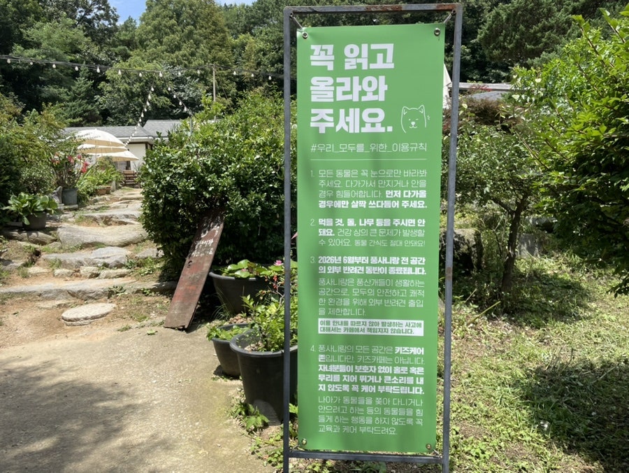 풍사니랑 사진 3
