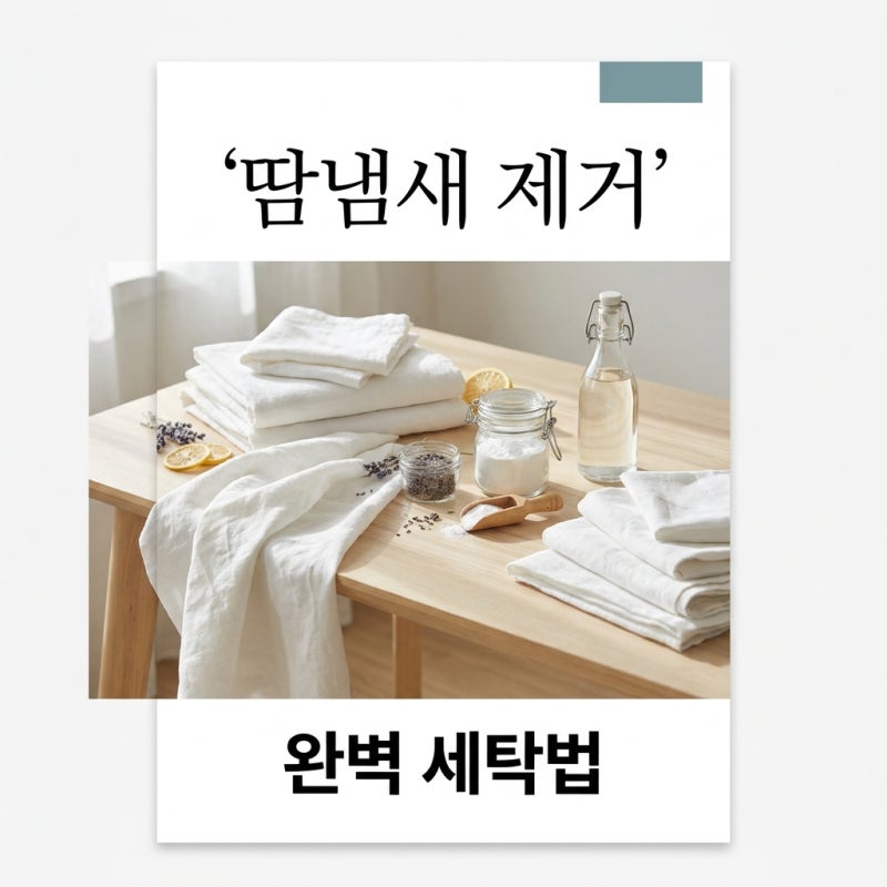 옷 땀냄새 제거 방법, 빨아도 안 빠지는 쉰내 완벽 해결법 3가지