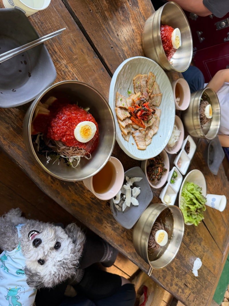 평창맛집 애견동반 ‘풀내음’ 막국수 수육(고즈넉한 분위기)