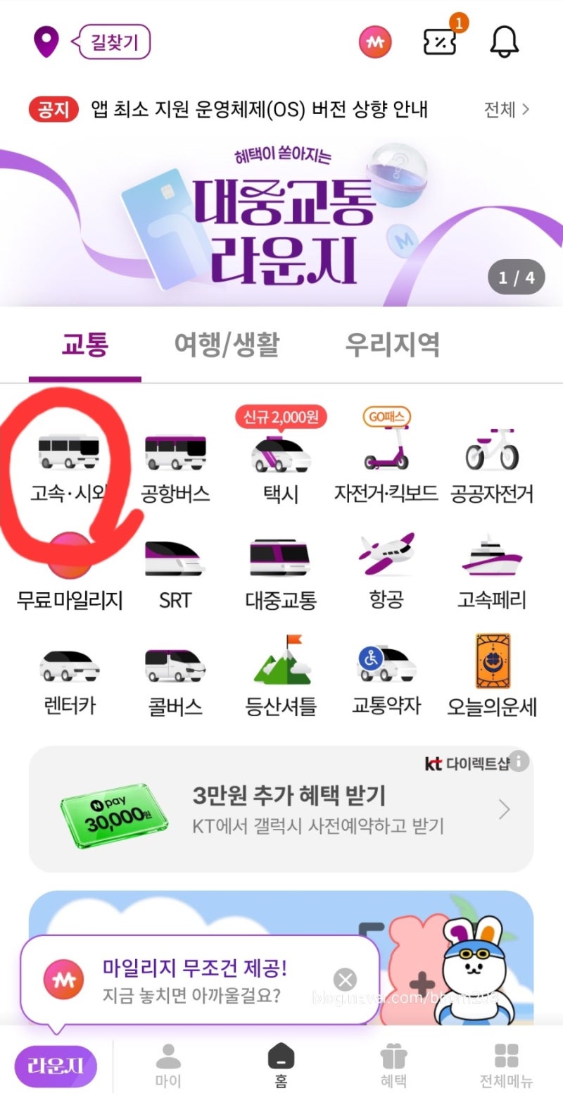 티머니고 앱 예약방법(버스타고 인천에서 에버랜드 가기)