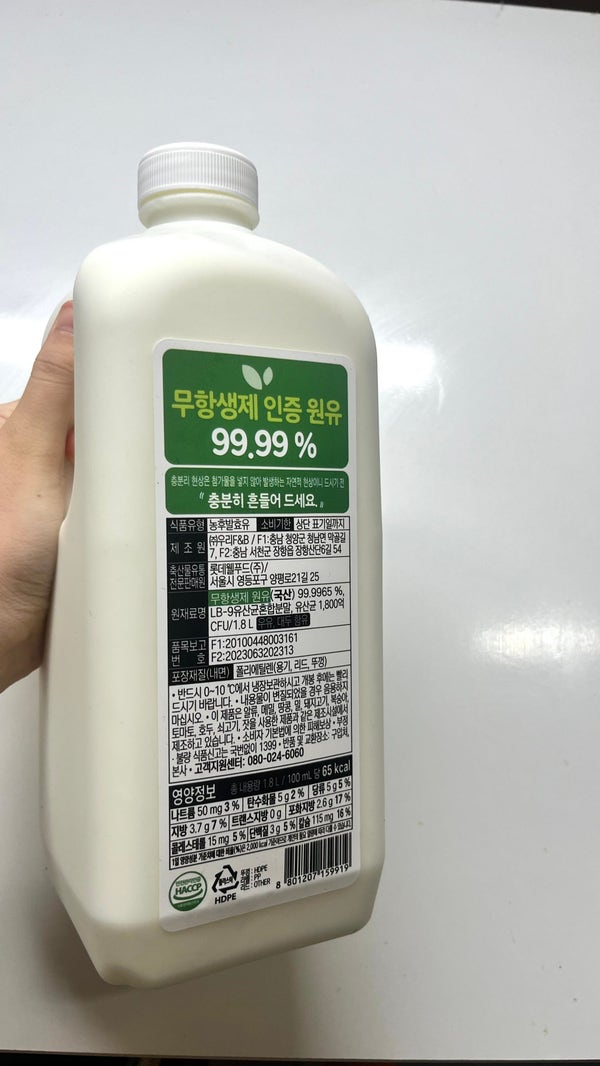 그릭요거트 집에서 만들기 | 파스퇴르 요거트, 다이소 국물팩 후기