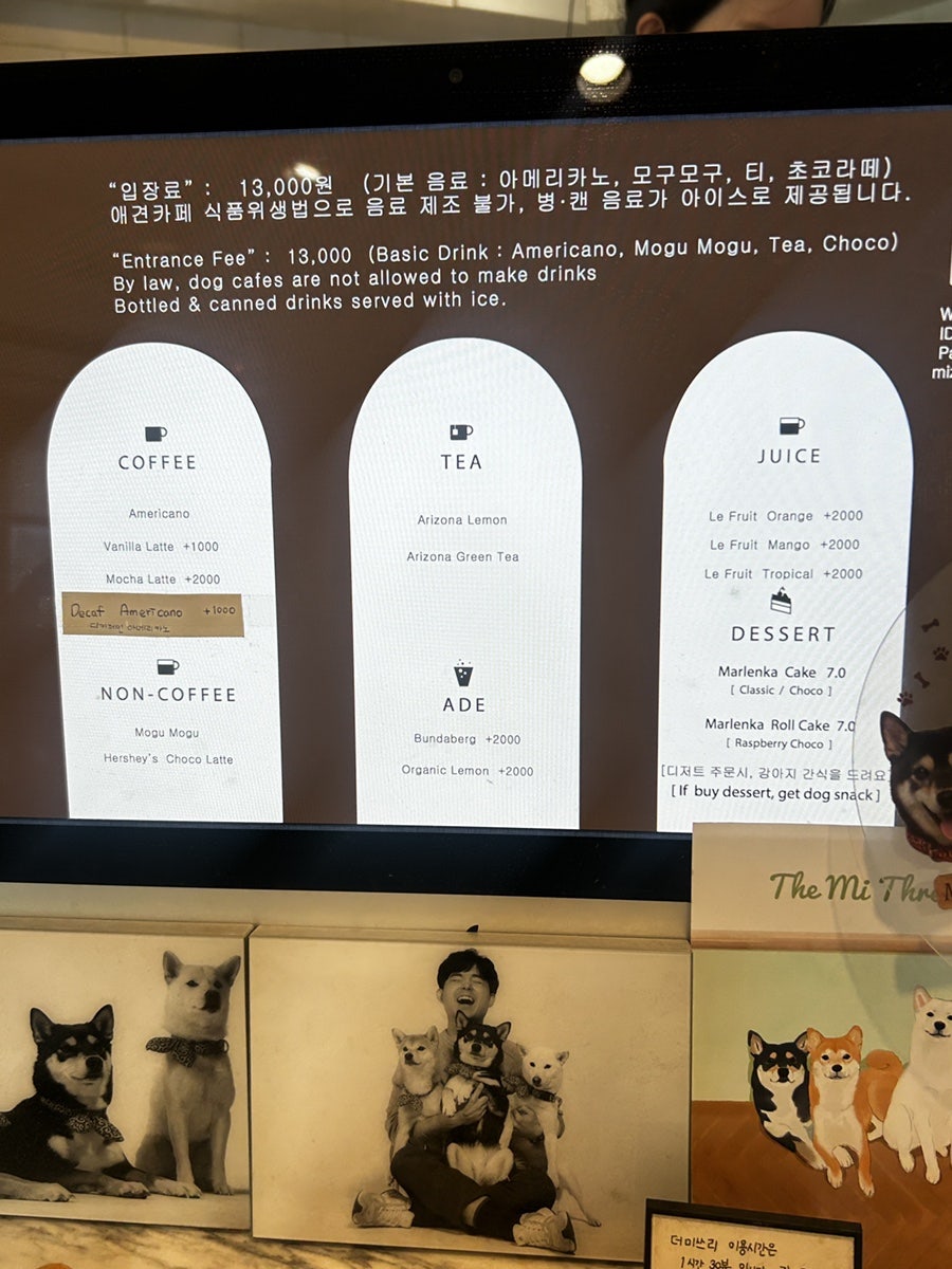 더미쓰리 사진 5