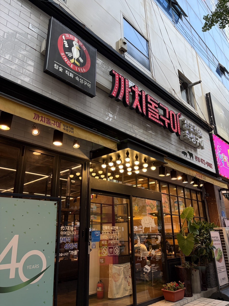 갈매기 사진 1