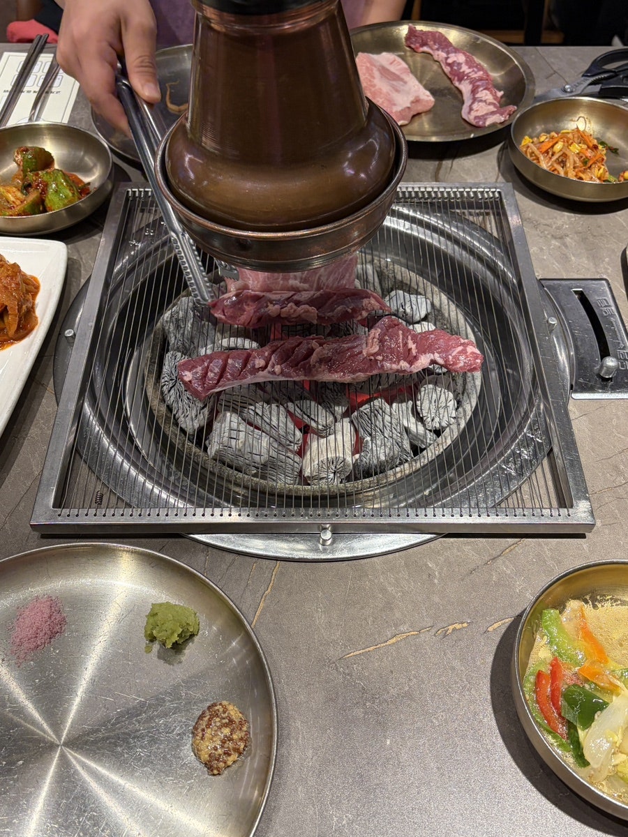 갈매기 사진 6