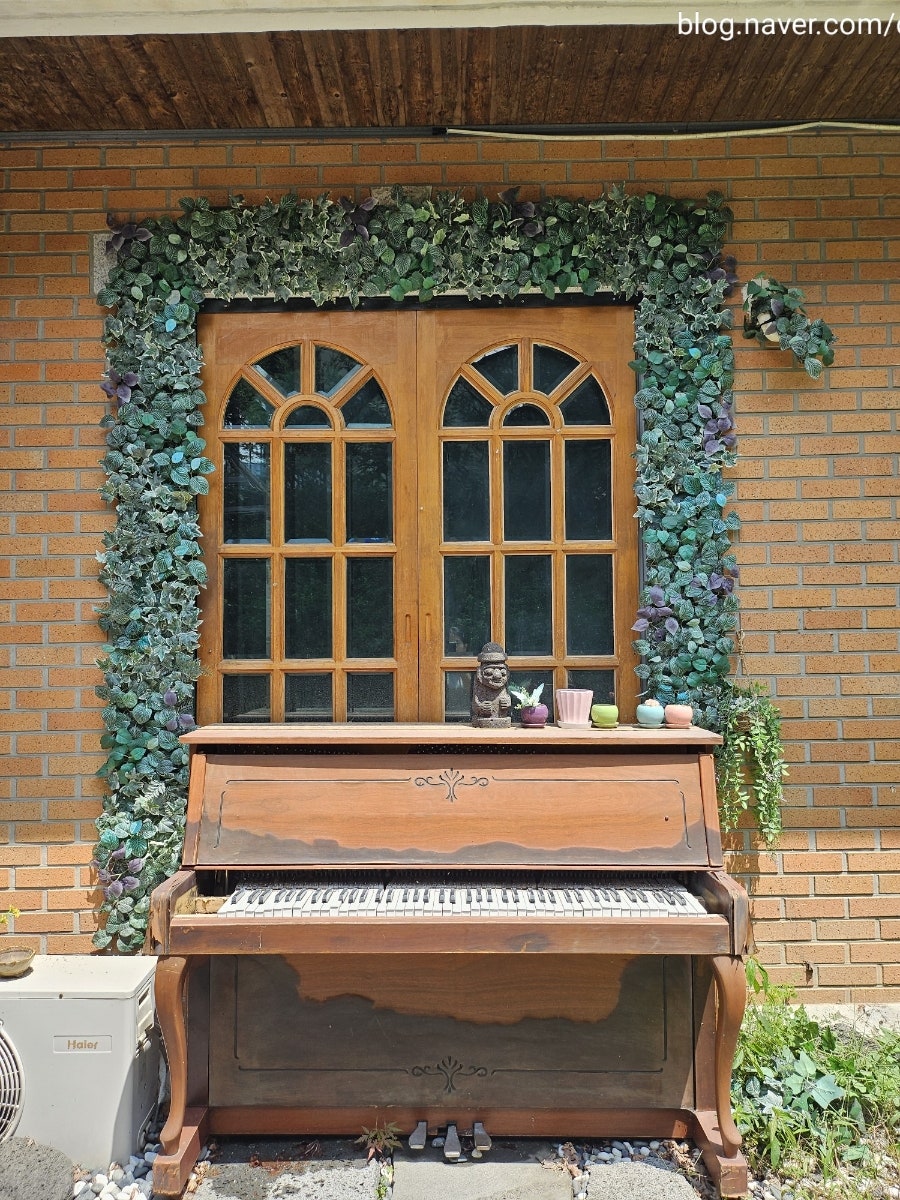 유빌리치 사진 4