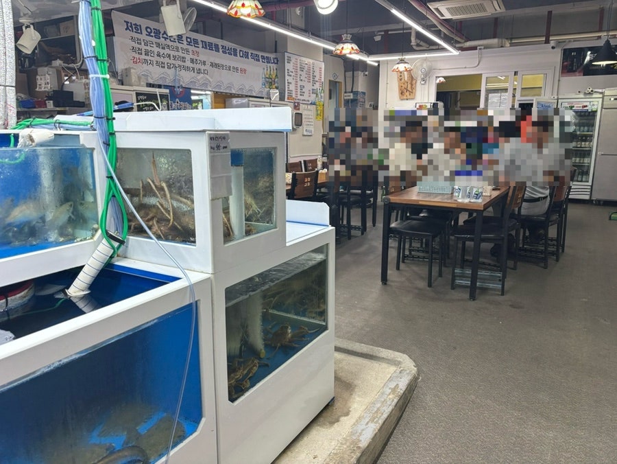 오광수산회센타 사진 5
