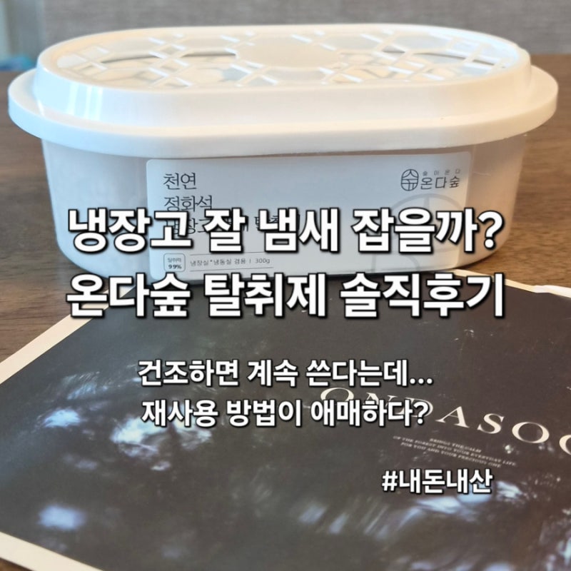 온다숲 냉장고 탈취제 내돈내산 후기