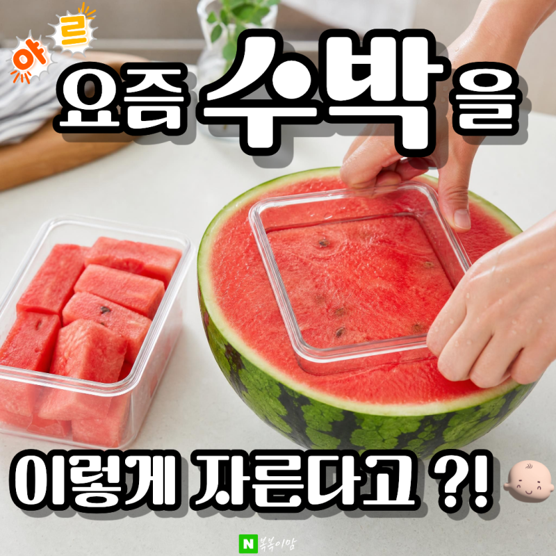 수박 손질 방법, 반찬통 하나로 깔끔하게 자르고 보관하는 법