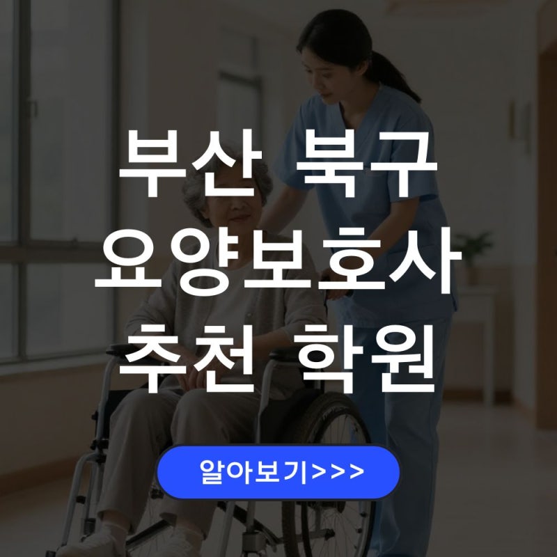 부산 북구 요양보호사 교육원 추천 & 국비지원교육 활용법