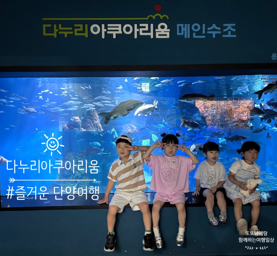 다누리아쿠아리움 사진 1