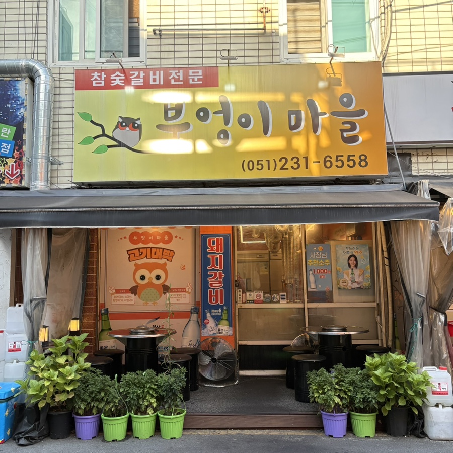 부엉이마을 사진 3