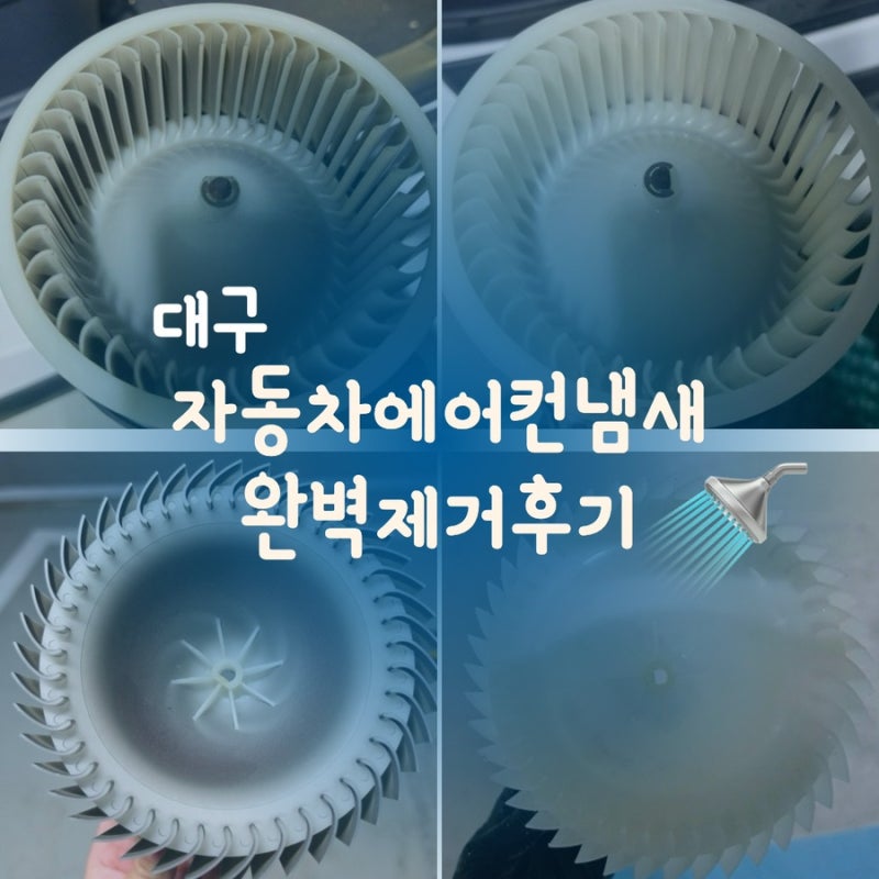 [자동차에어컨냄새] 대구 에바크리닝 자동차 에어컨 청소 후기
