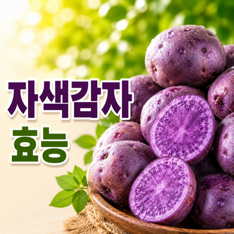 자색감자 효능, 칼로리 주의사항 건강하게 섭취하는 법