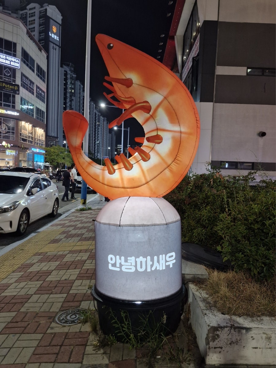 새우야 사진 4