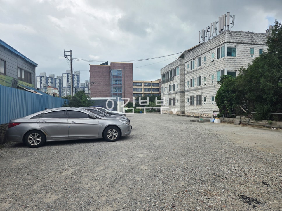 진심장어참숯구이 사진 3