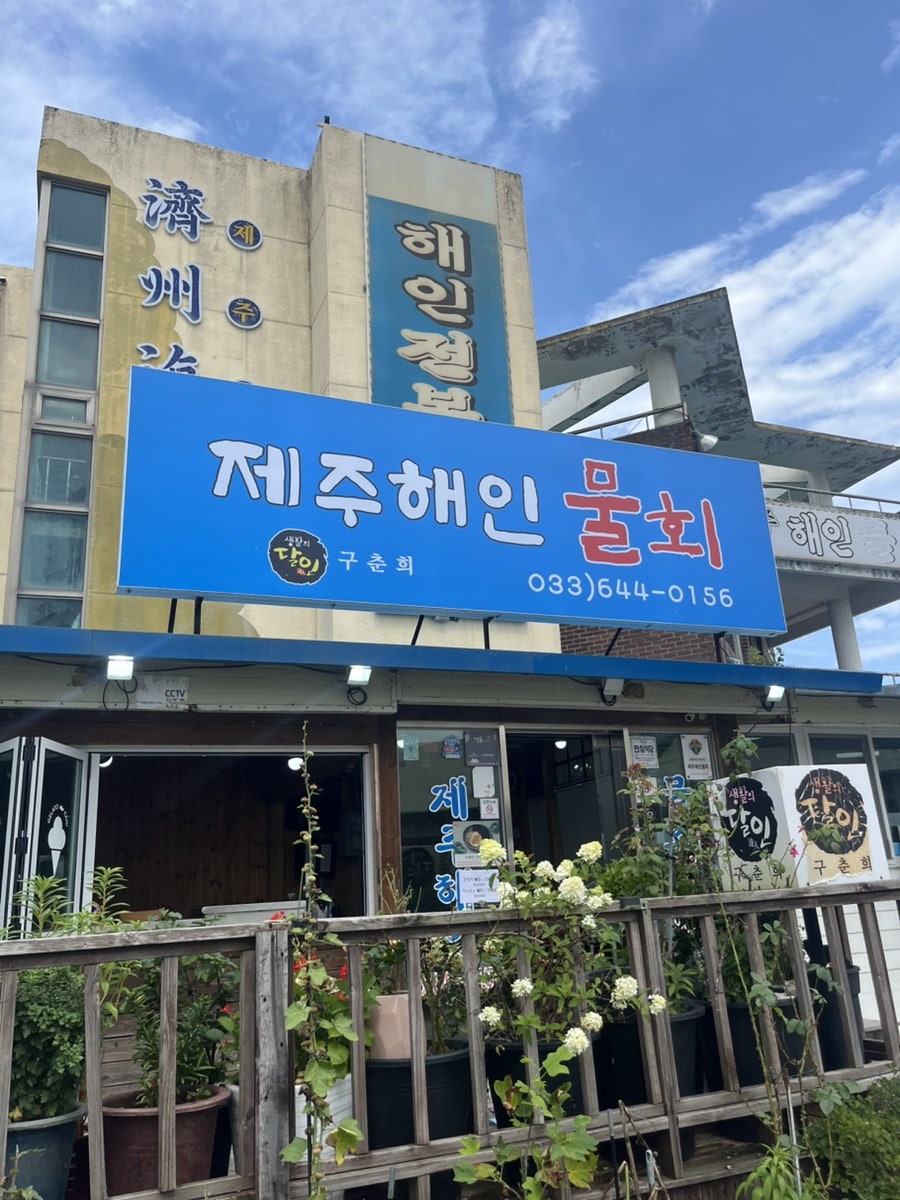 보헤미안 사진 1