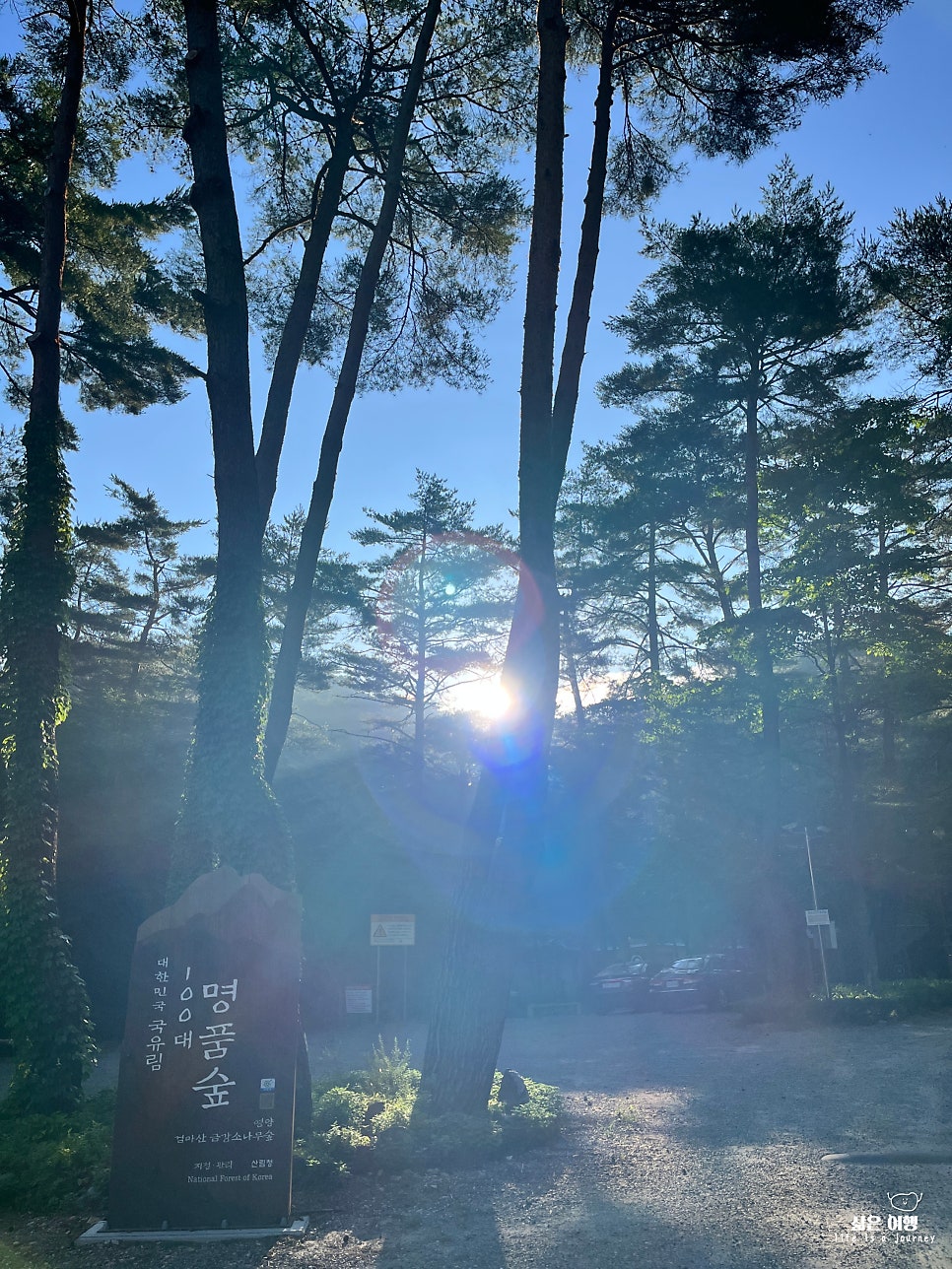 국립검마산자연휴양림 사진 2