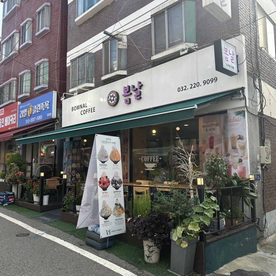 봄날 사진 1