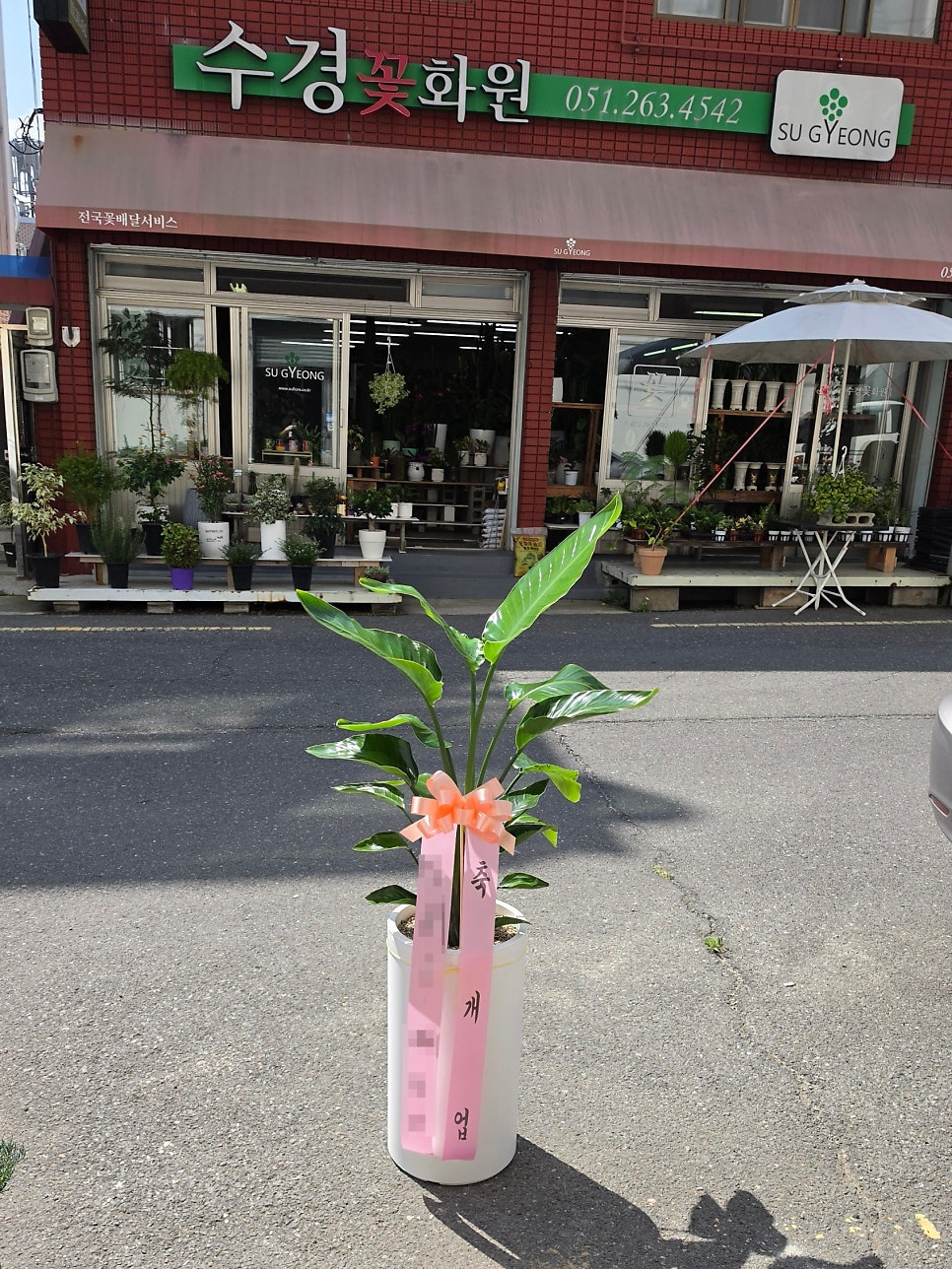 왓더버거 다대포점 사진 4