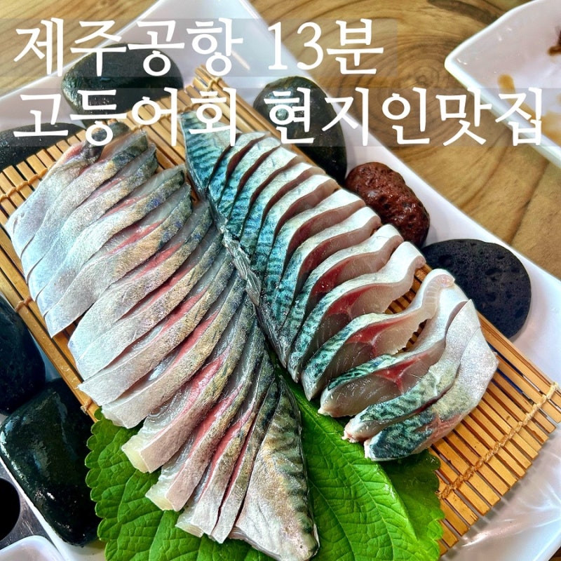 제주공항 근처 맛집 내도바당 제주 고등어회 현지인 추천 내돈내산