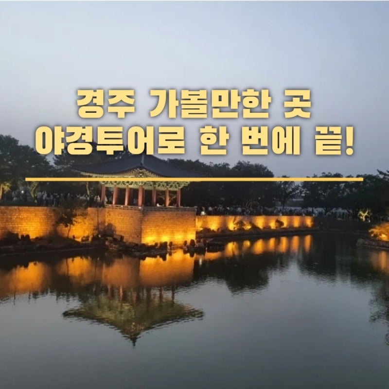 경주 가볼만한 곳 야경투어로 한번에 끝! 예약부터 코스, 타는 곳까지
