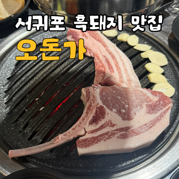 오돈가 사진 1