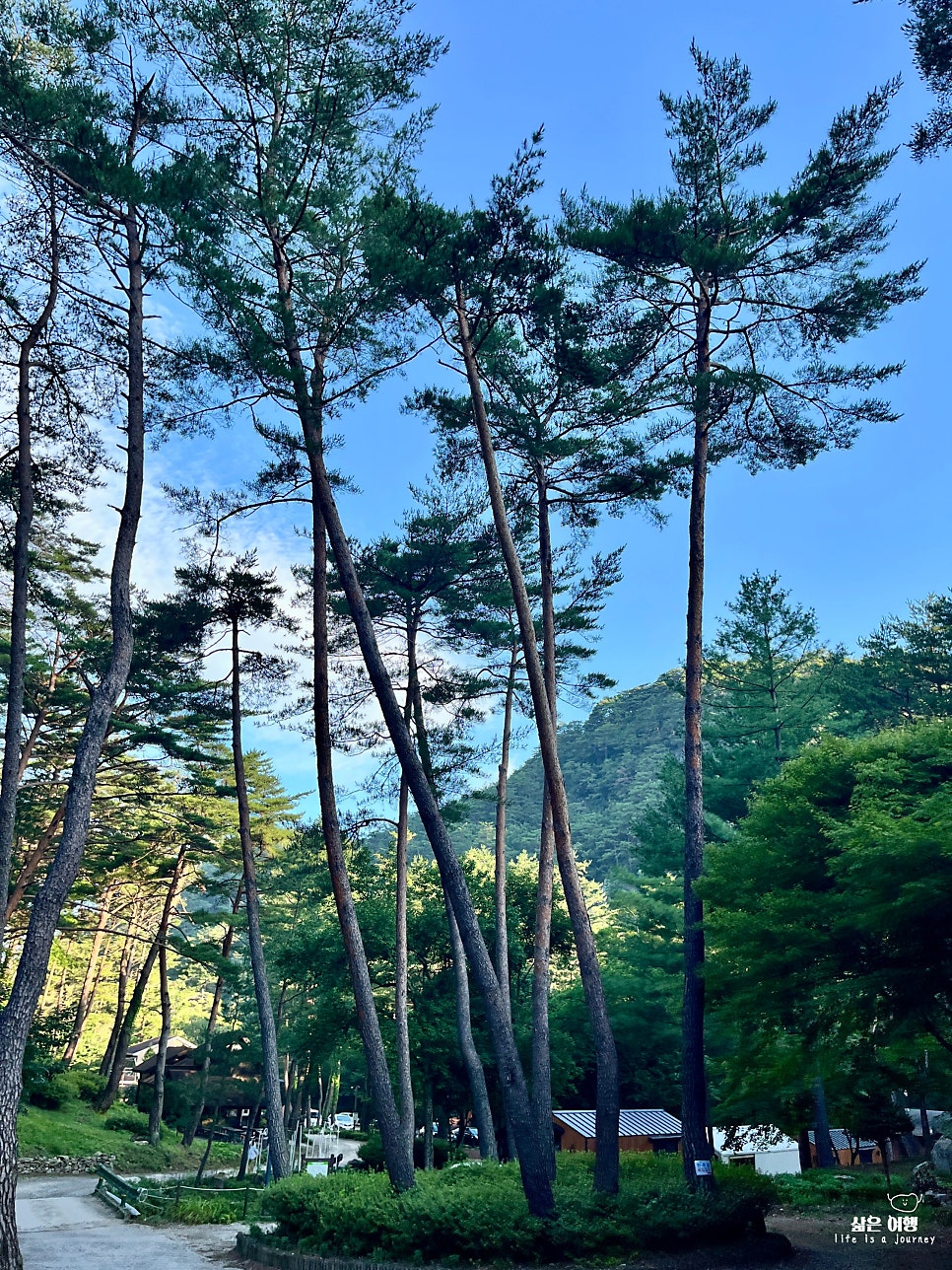 국립검마산자연휴양림 사진 4